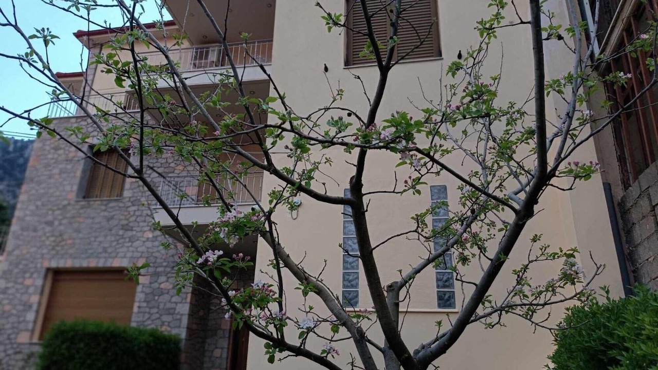 Photo of Outdoor in Gravia