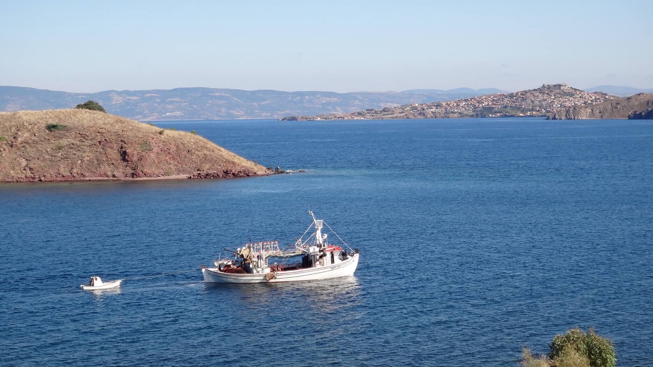 Photo of Others in Anaxos