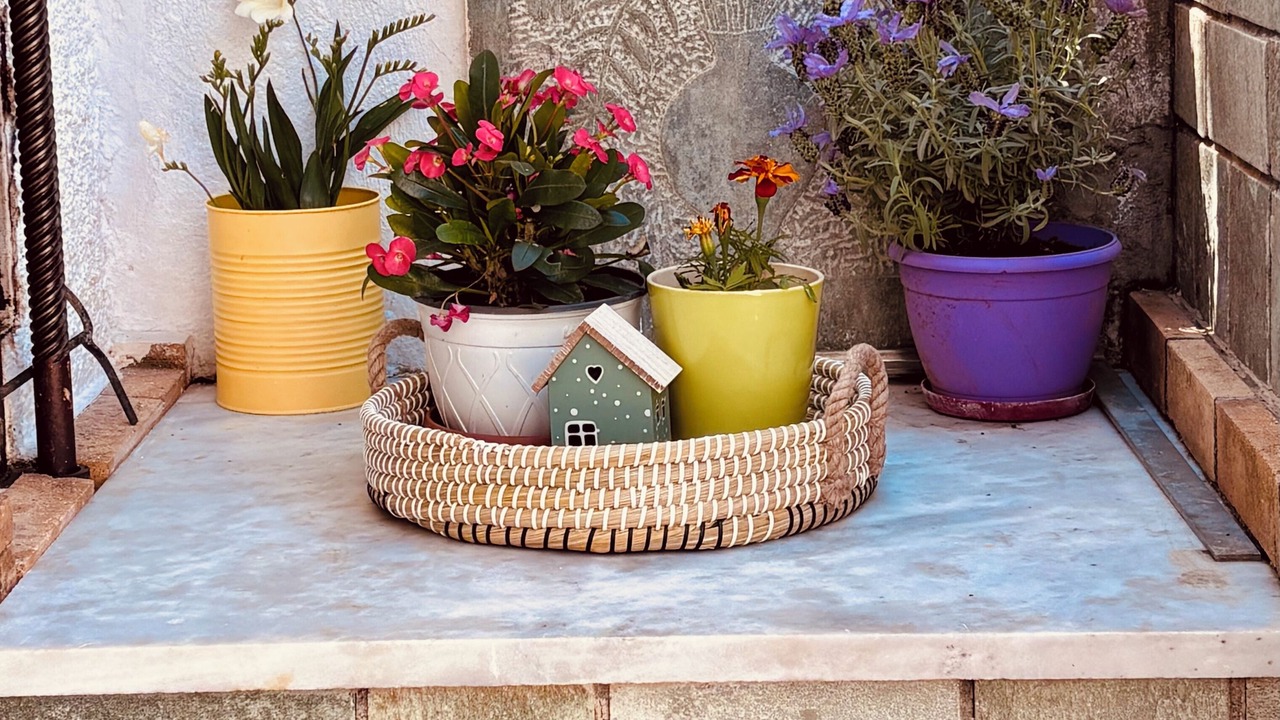 Photo of Outdoor in Chalcis