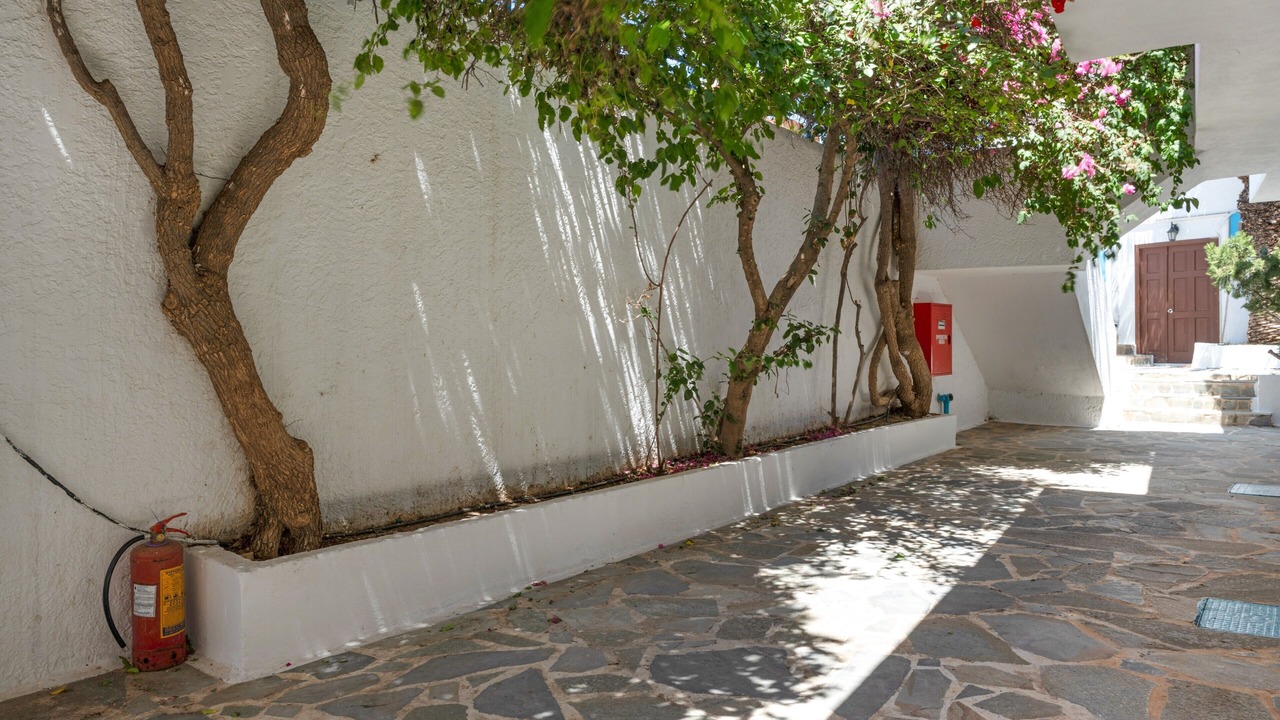 Photo of Outdoor in Amoopi