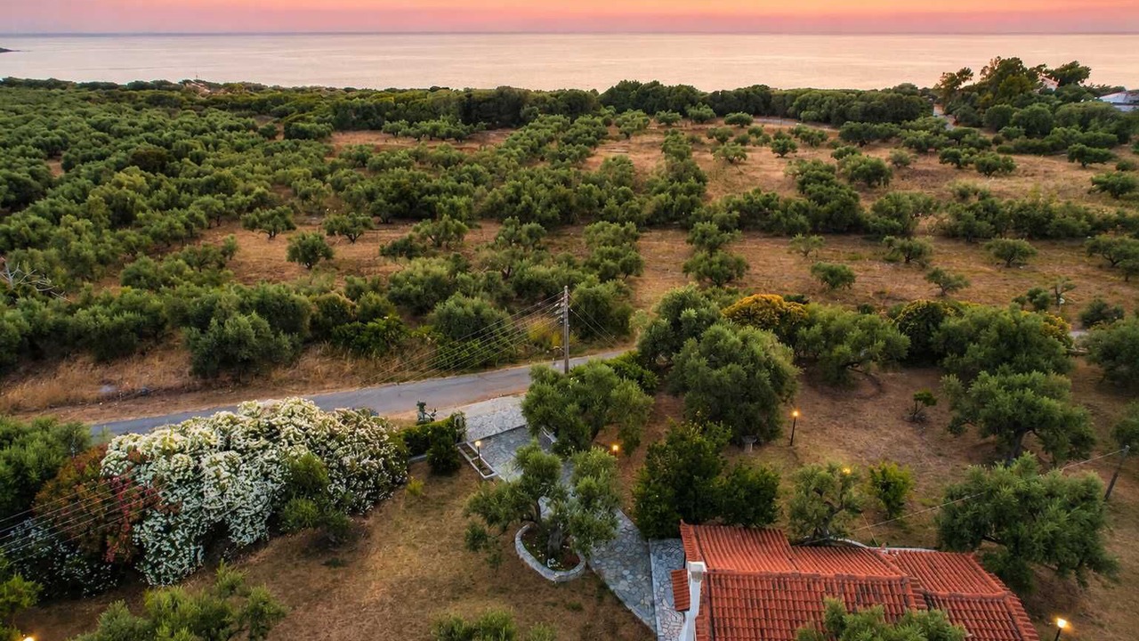 Photo of Others in Kiparissia