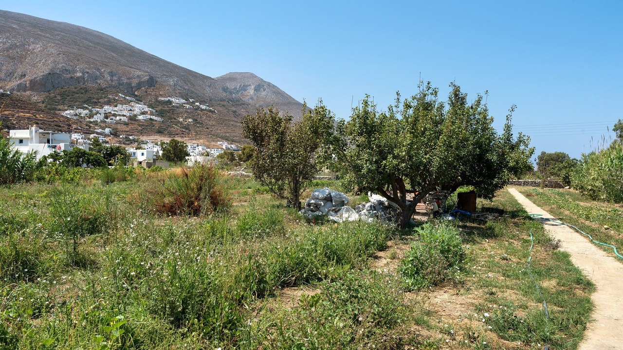 Photo of Outdoor in Aegiali