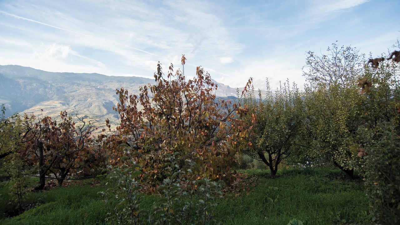 Photo of Outdoor in Manna