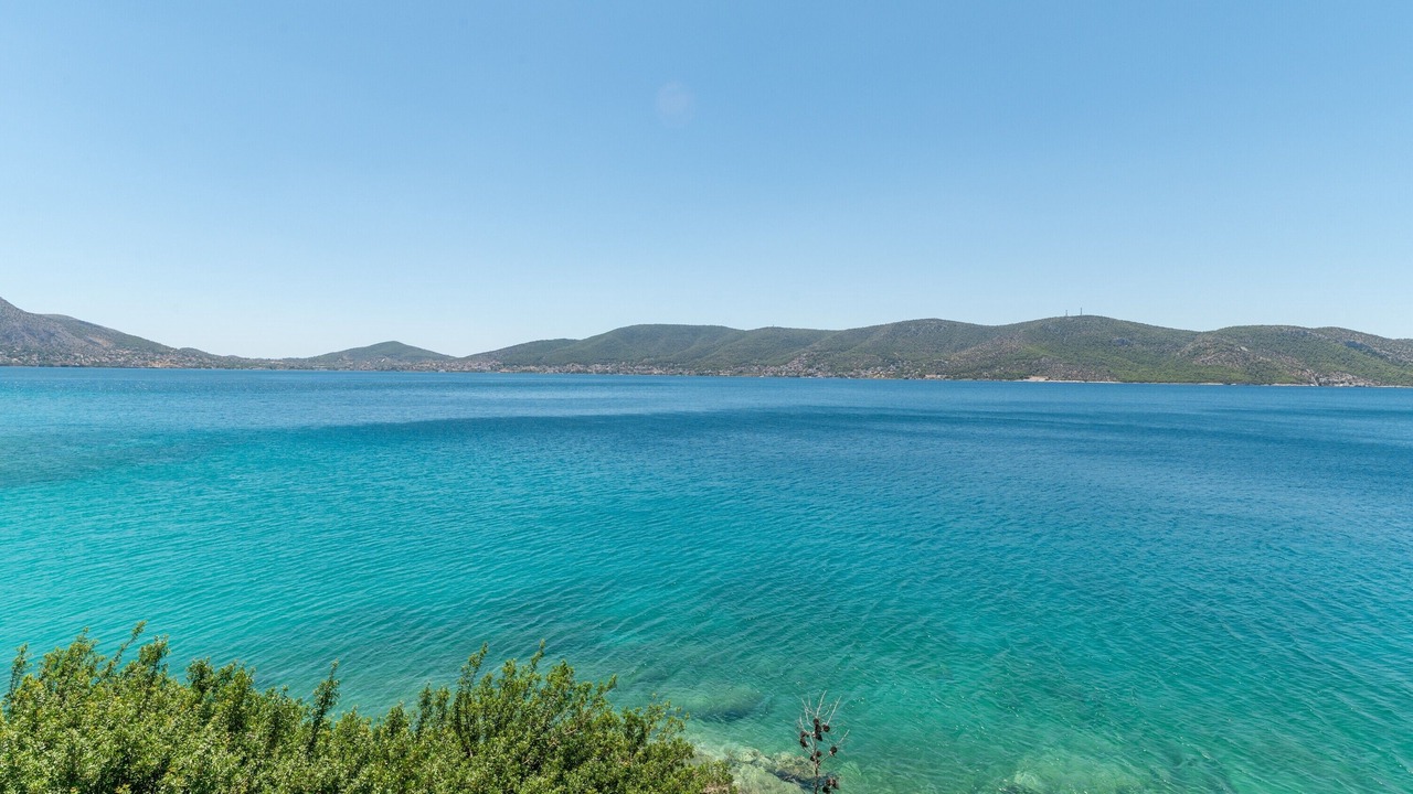 Photo of Others in Salamis