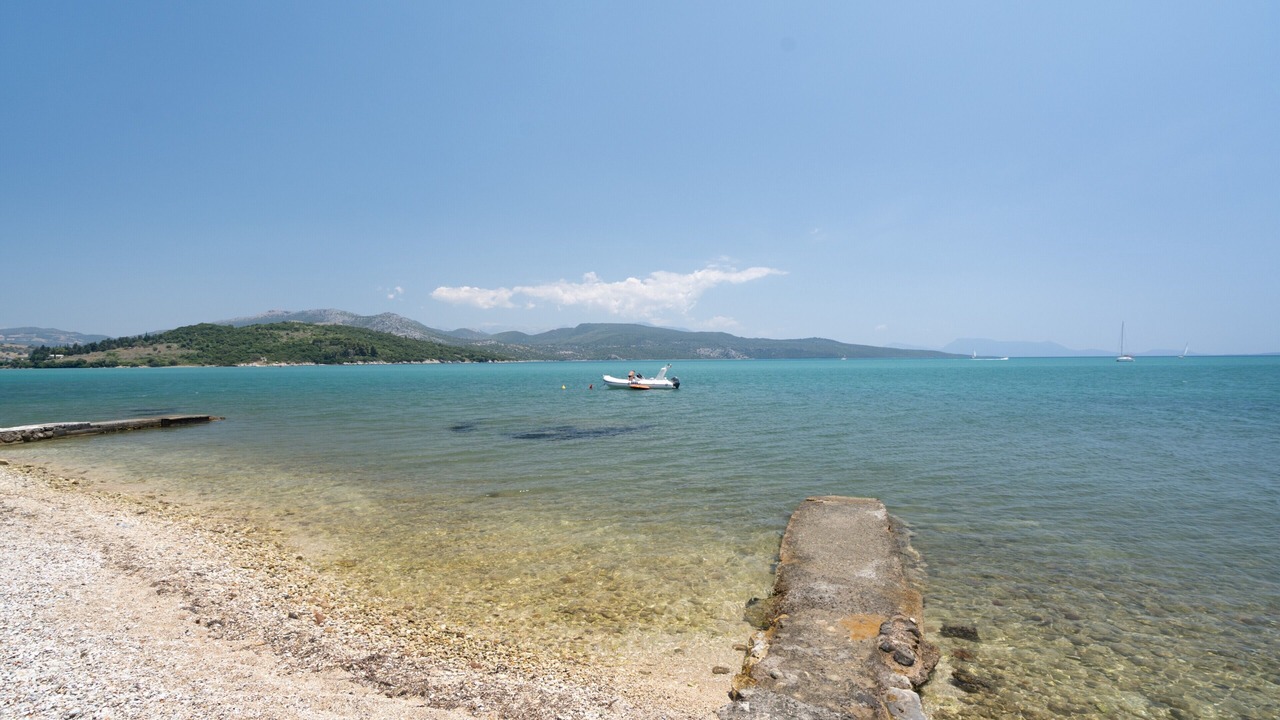 Photo of Others in Lygia