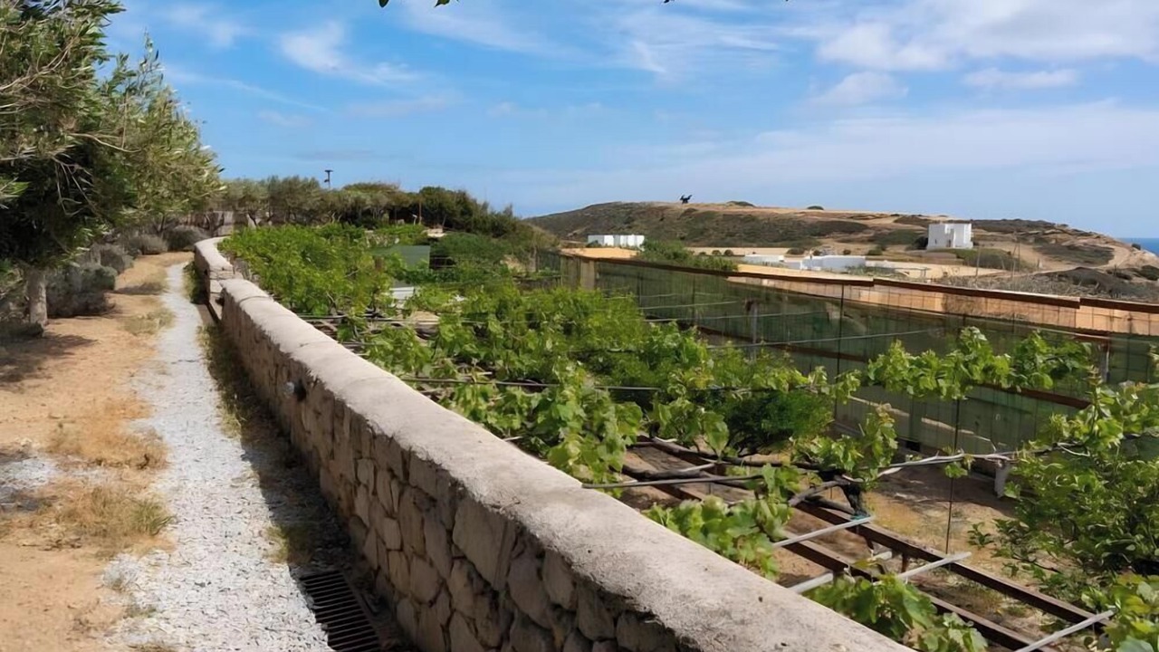 Photo of Outdoor in Milos