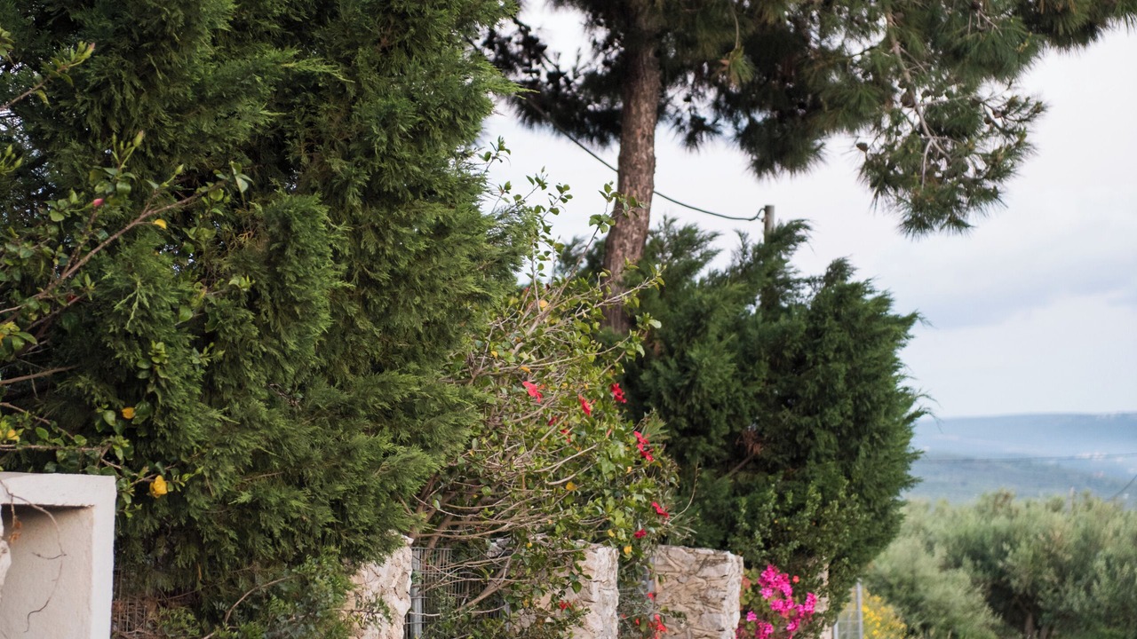 Photo of Outdoor in Tragana