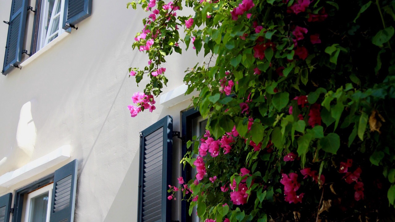 Photo of Outdoor in Myrina