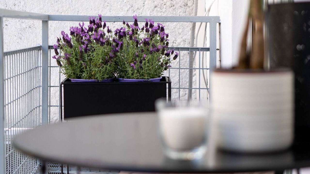 Photo of Patio Balcony in Petralona