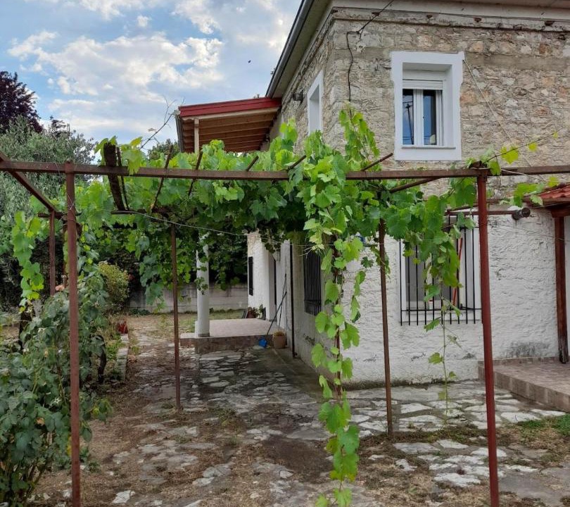Photo of Others in Trikala