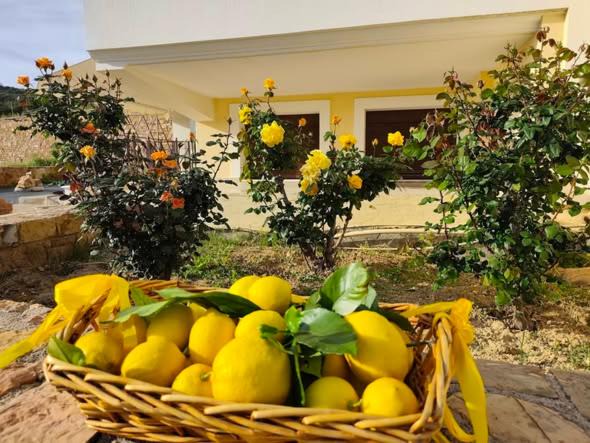 Photo of Others in Agia Ermioni