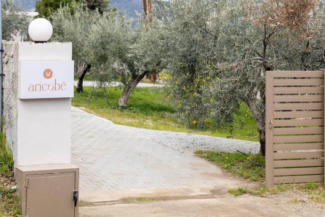 Photo of Others in Melissopetra