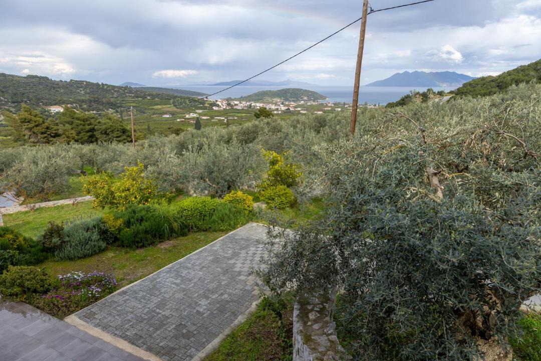 Photo of Others in Melissopetra