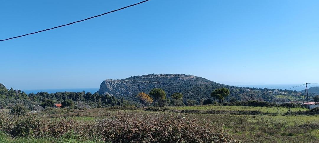 Photo of Others in Sipiada