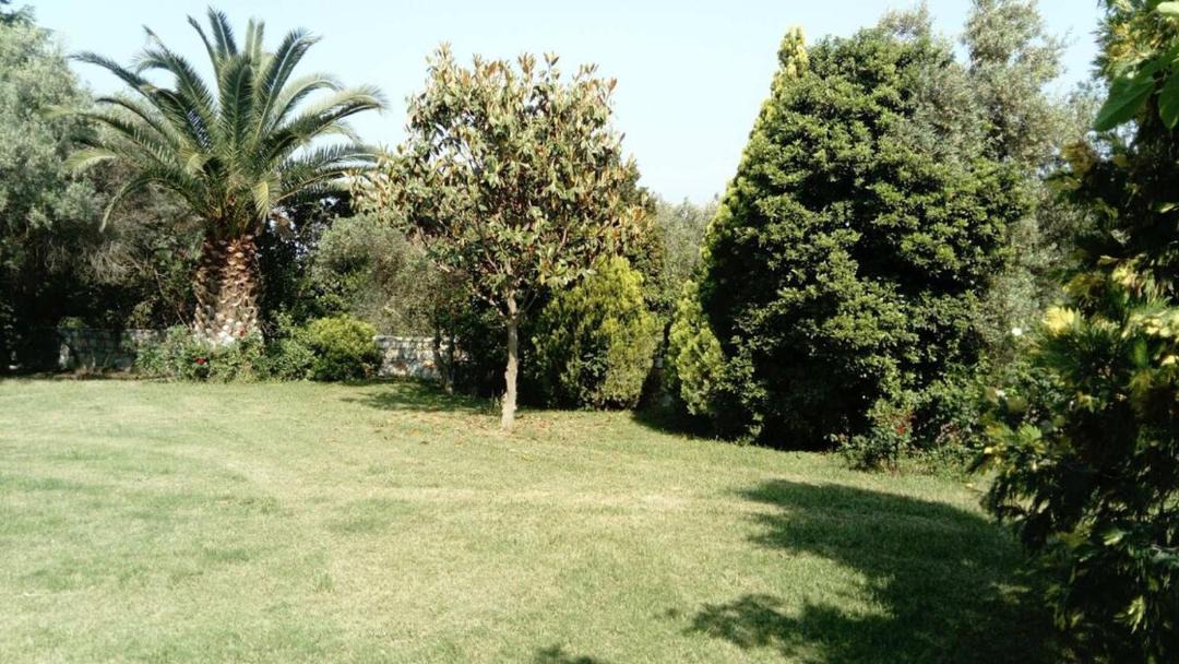 Photo of Outdoor in Panagiouda