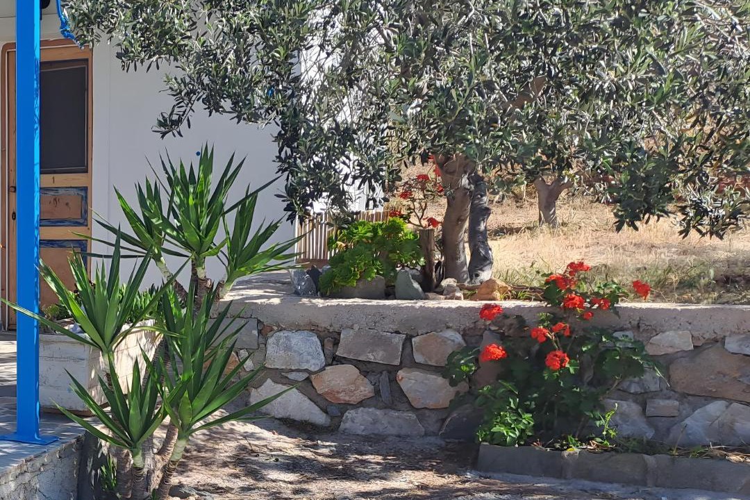Photo of Others in Megas Gialos