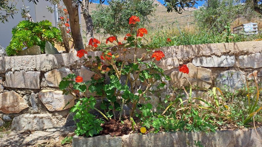 Photo of Others in Megas Gialos