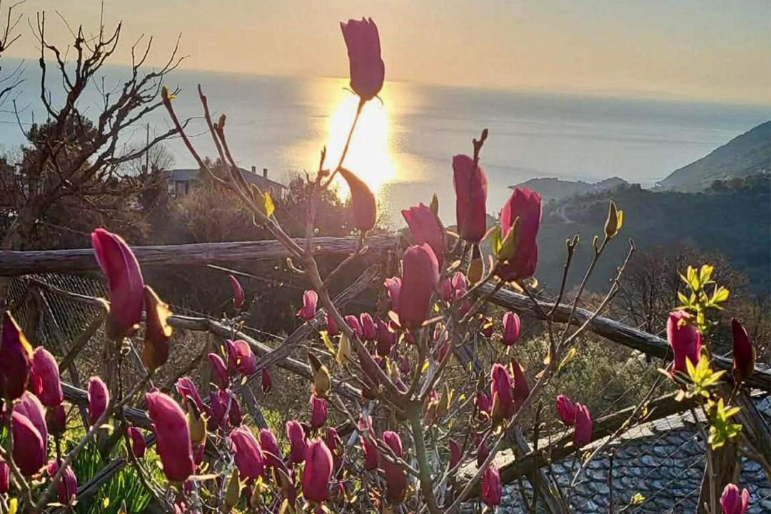 Photo of Others in Agios Dimitrios