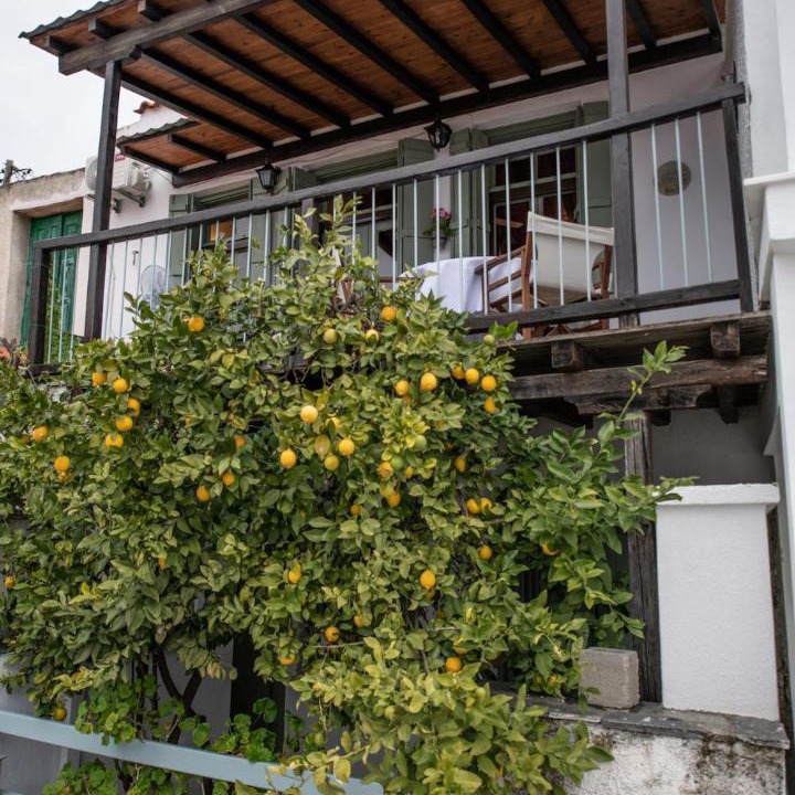 Photo of Others in Xanthi Region