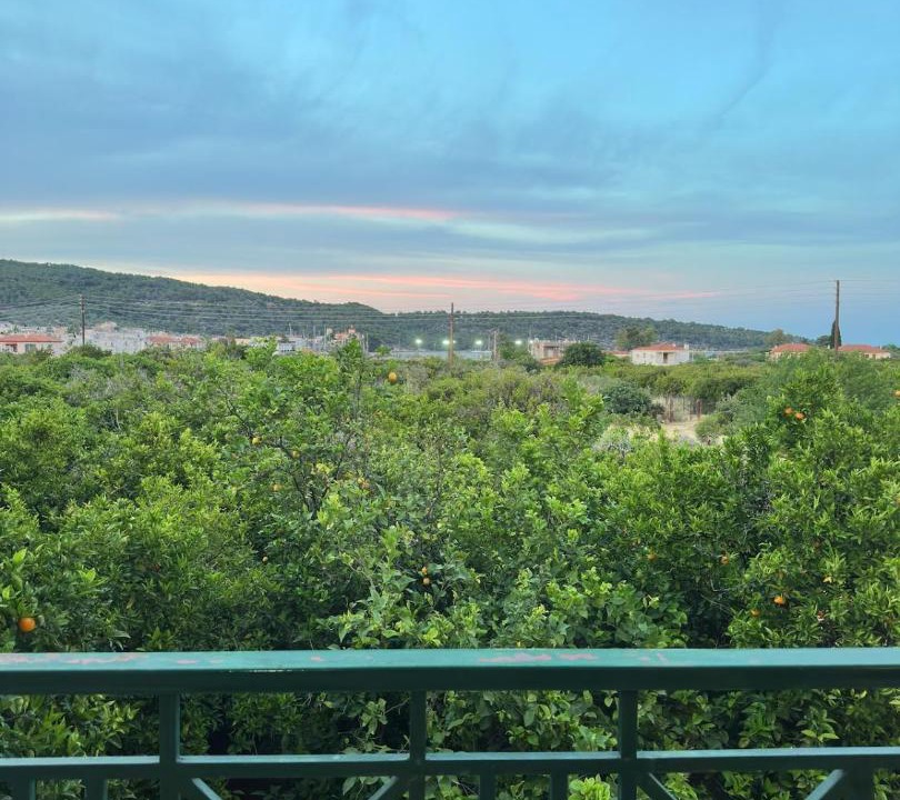 Photo of Others in Palaia Epidavros