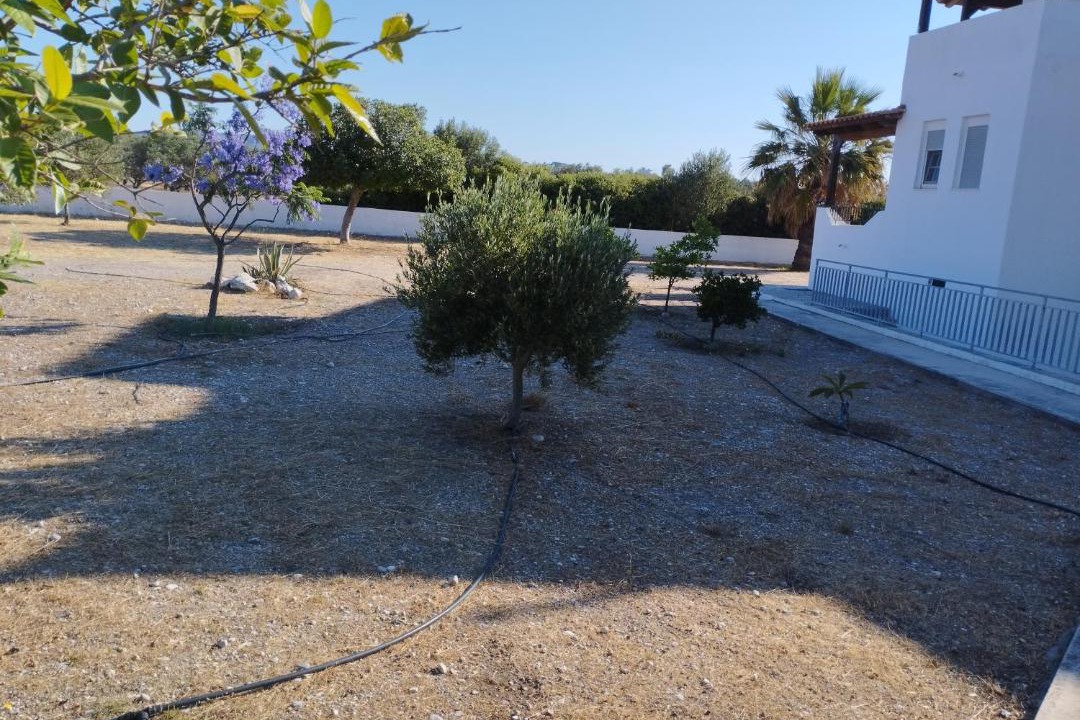 Photo of Others in Kolymbia