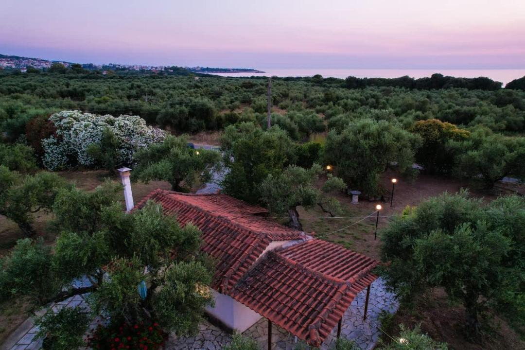 Photo of Others in Kiparissia