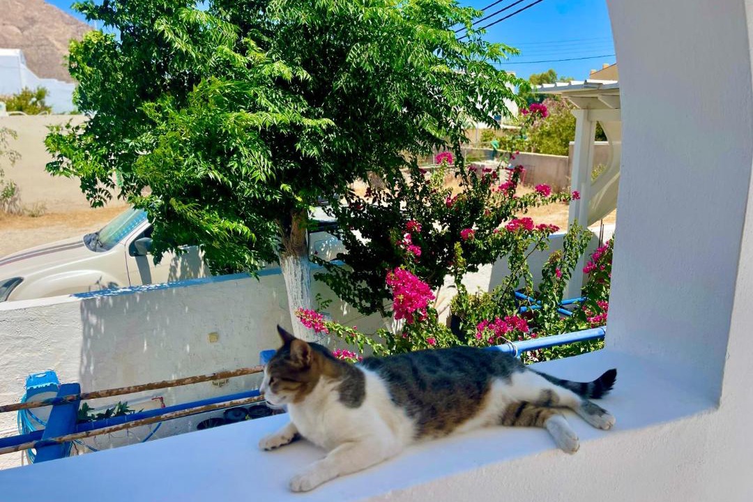 Photo of Others in Perissa