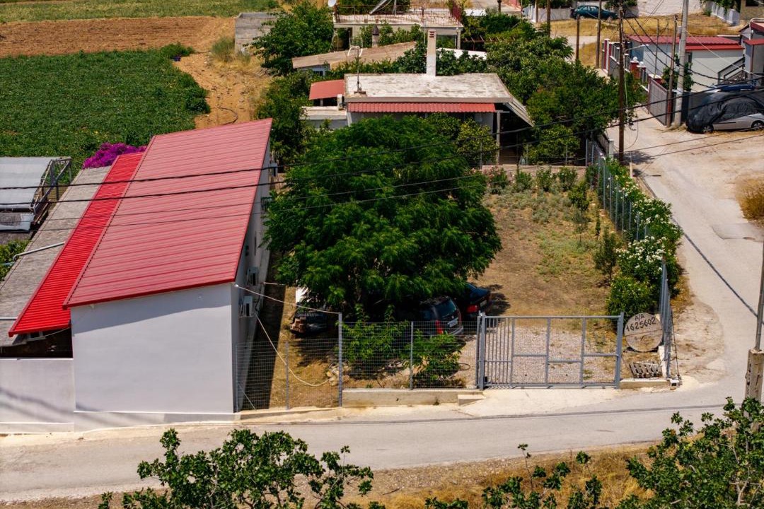 Photo of Others in Salamis