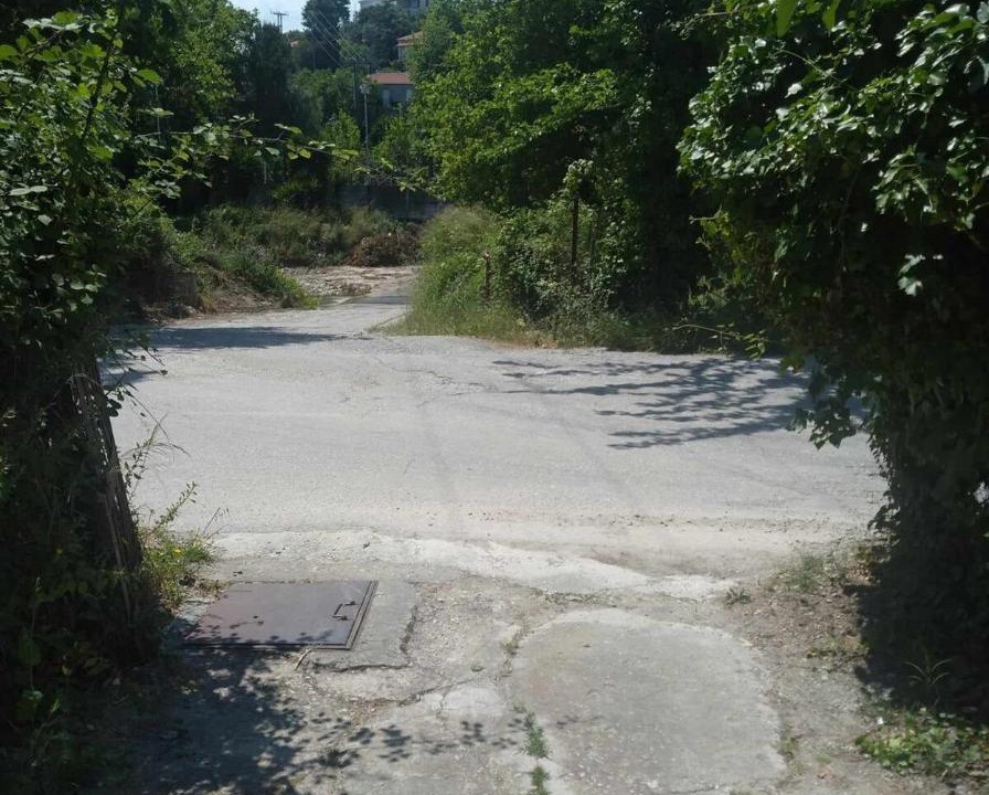 Photo of Others in Platana