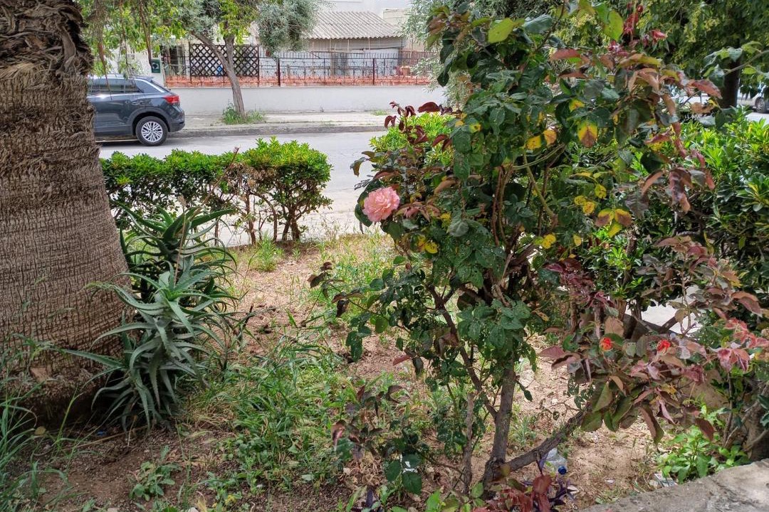 Photo of Outdoor in Kolokinthou