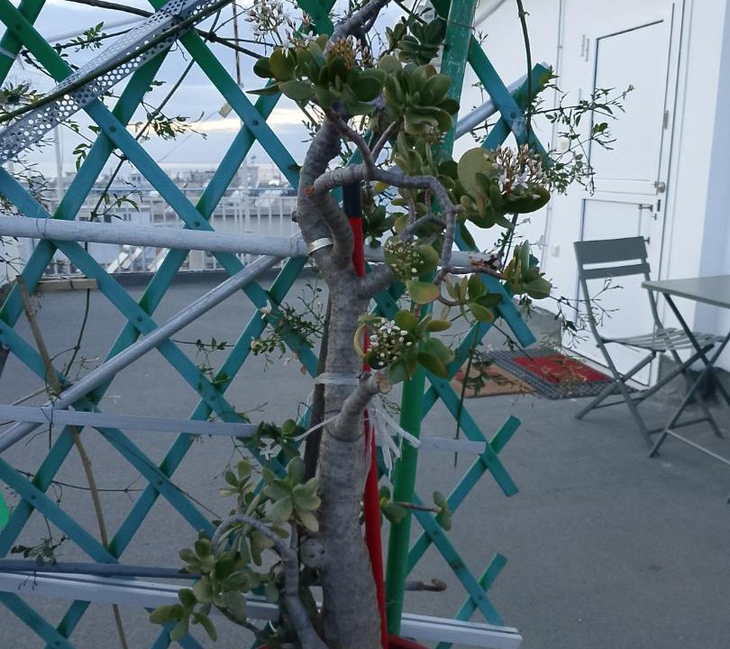 Photo of Others in Patras