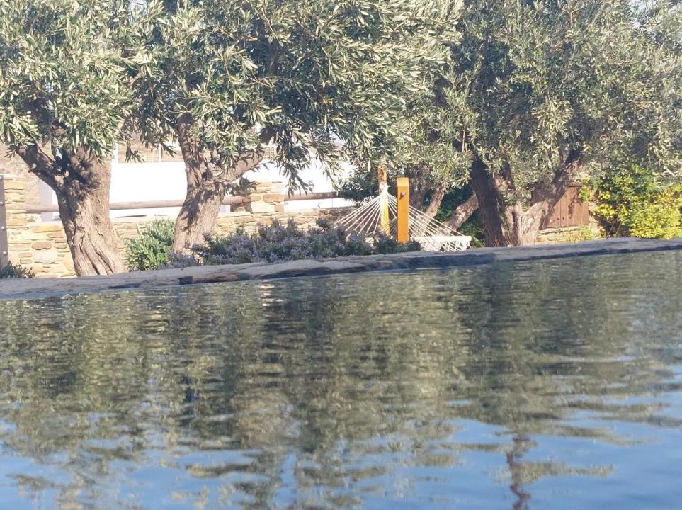 Photo of Others in Tinos Town
