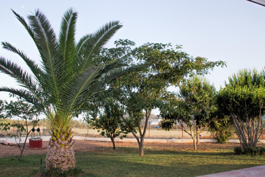 Photo of Others in Nea Tirintha