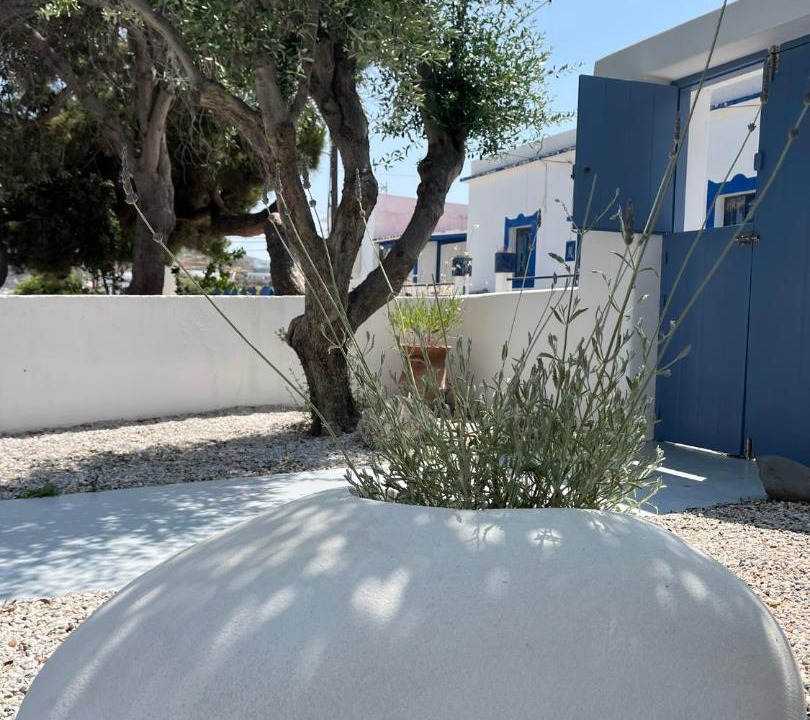 Photo of Others in Apollonia