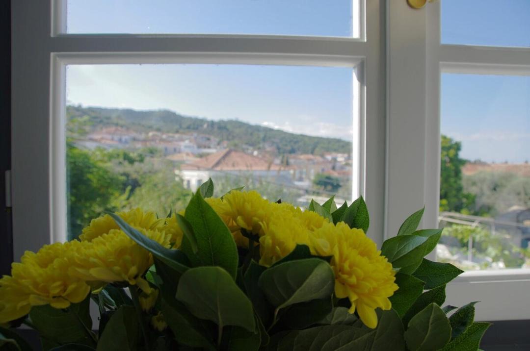 Photo of Others in Spetses