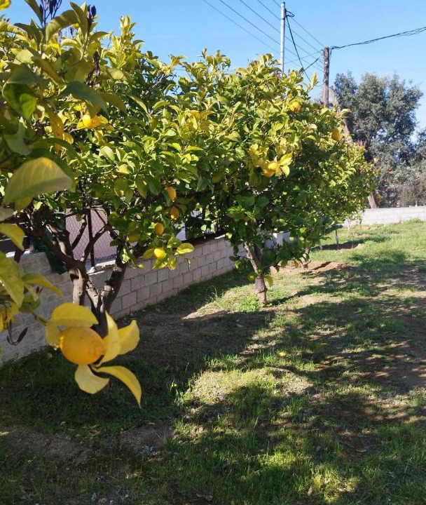 Photo of Outdoor in Isthmia