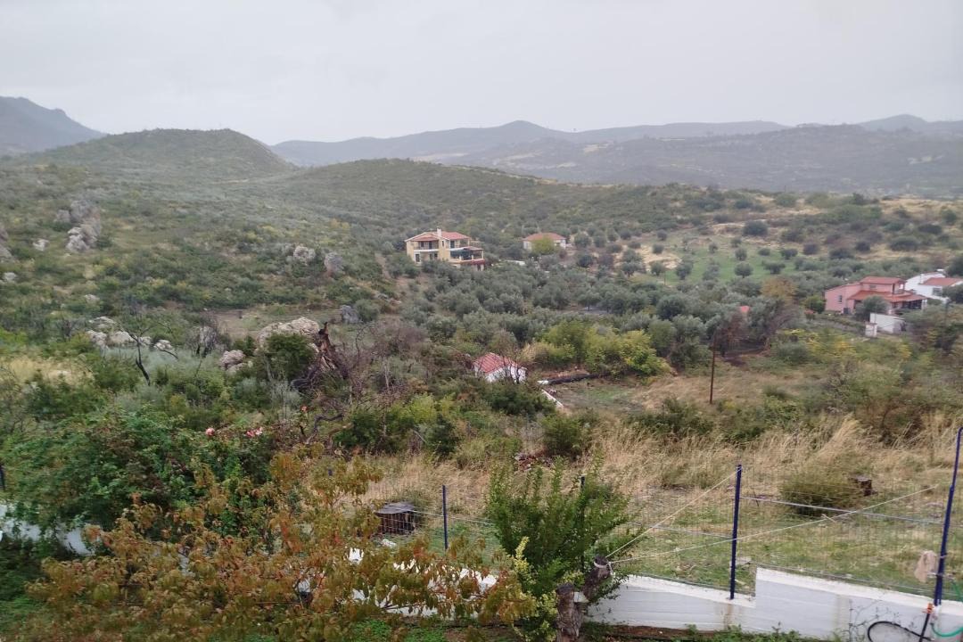 Photo of Others in Stratoni