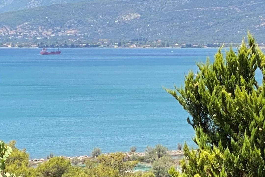 Photo of Others in Chalcis