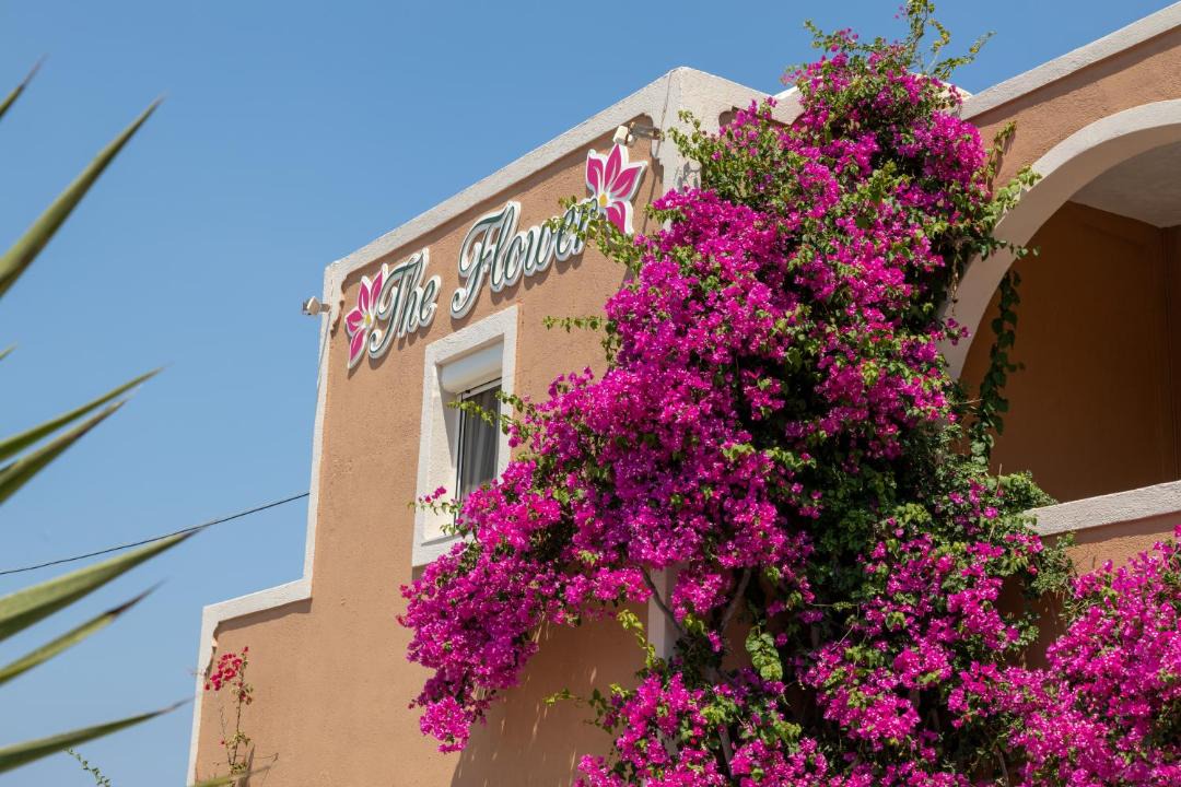 Photo of Others in Oia