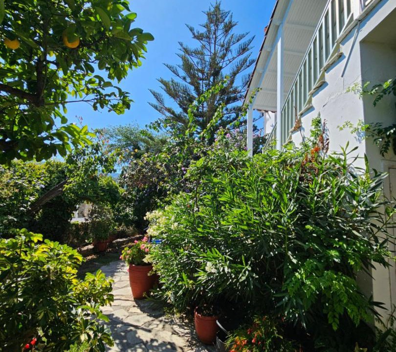 Photo of Others in Skiathos Town