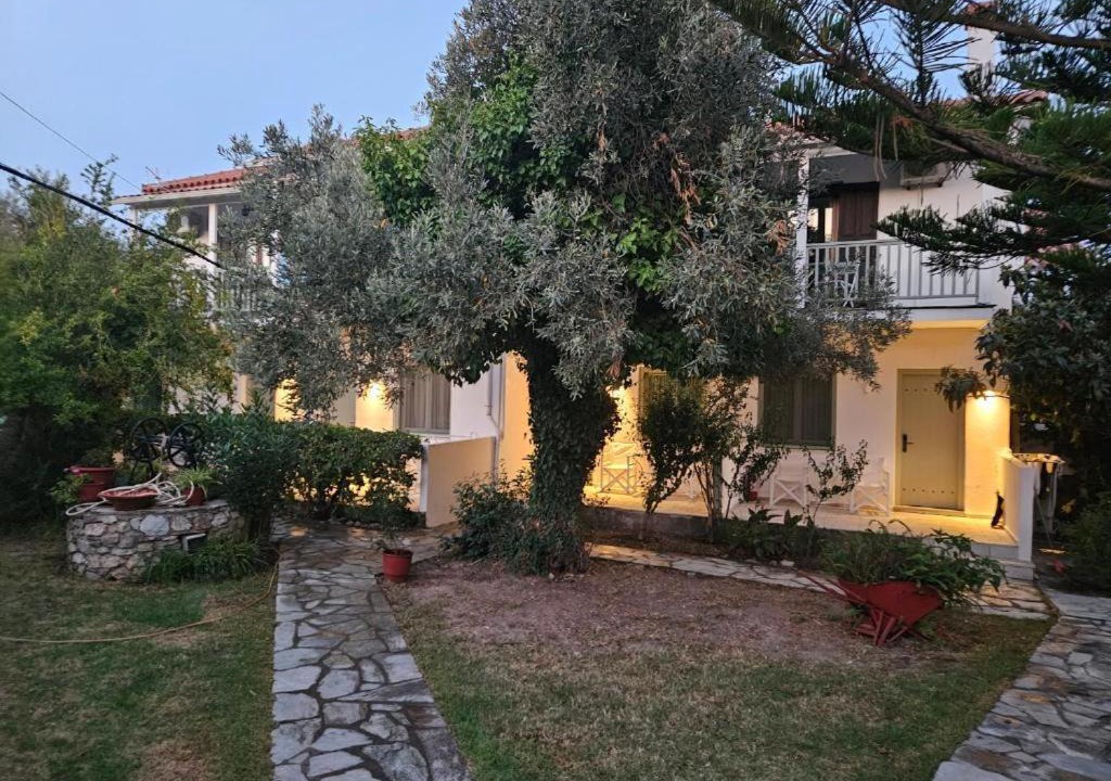 Photo of Others in Skiathos Town