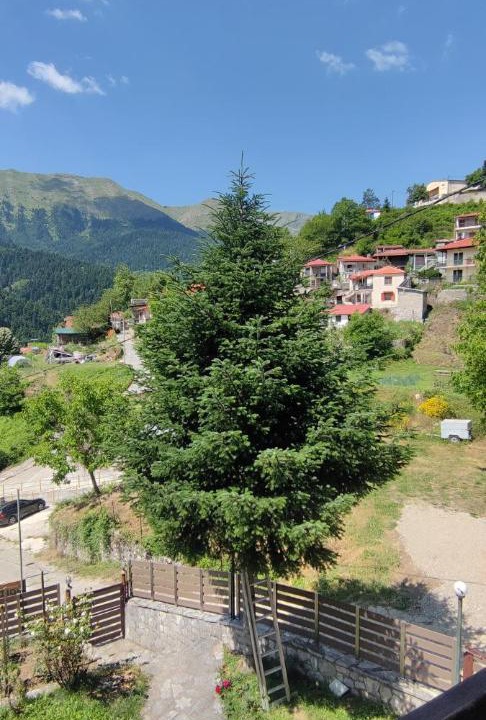 Photo of Others in Lake Plastiras