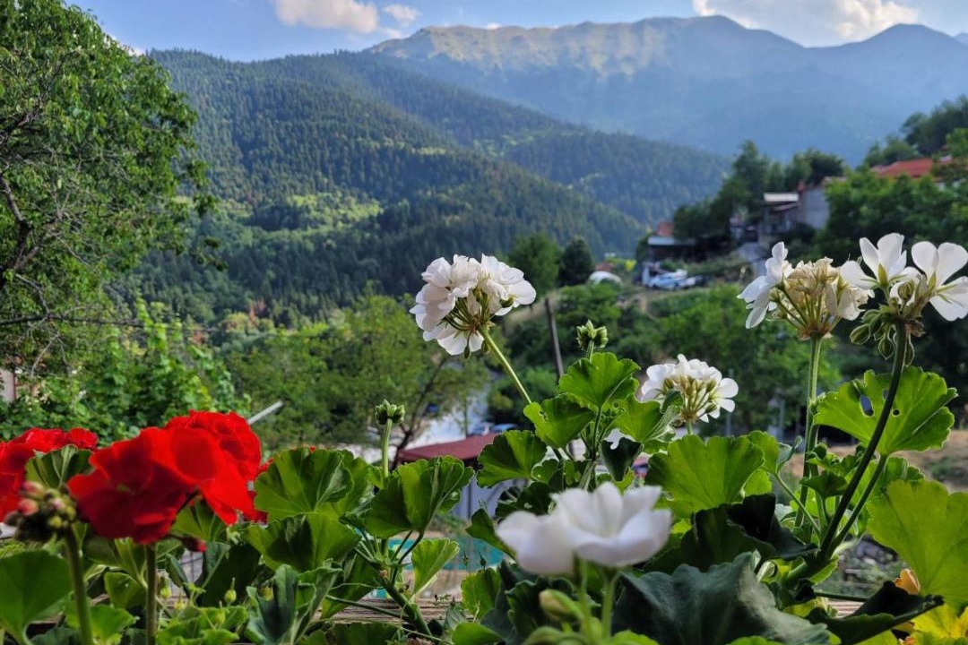 Photo of Others in Lake Plastiras