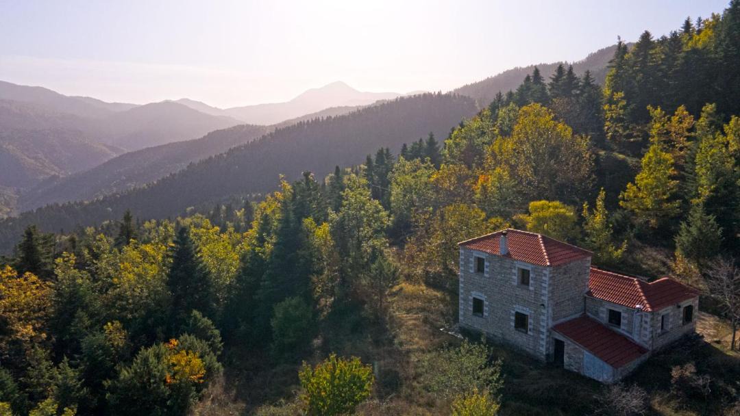 Photo of Others in Terpsithea