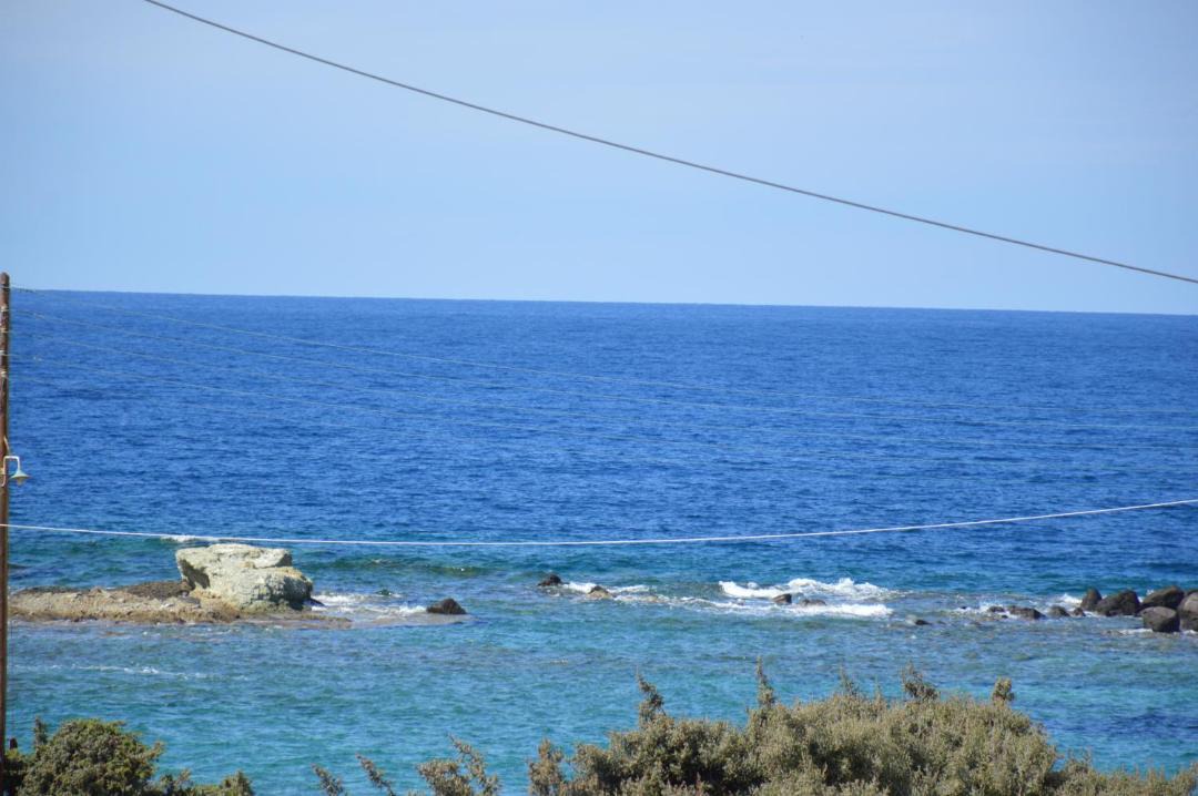 Photo of Others in Apollonia