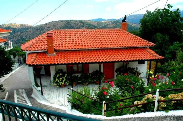 Photo of Others in Kastri