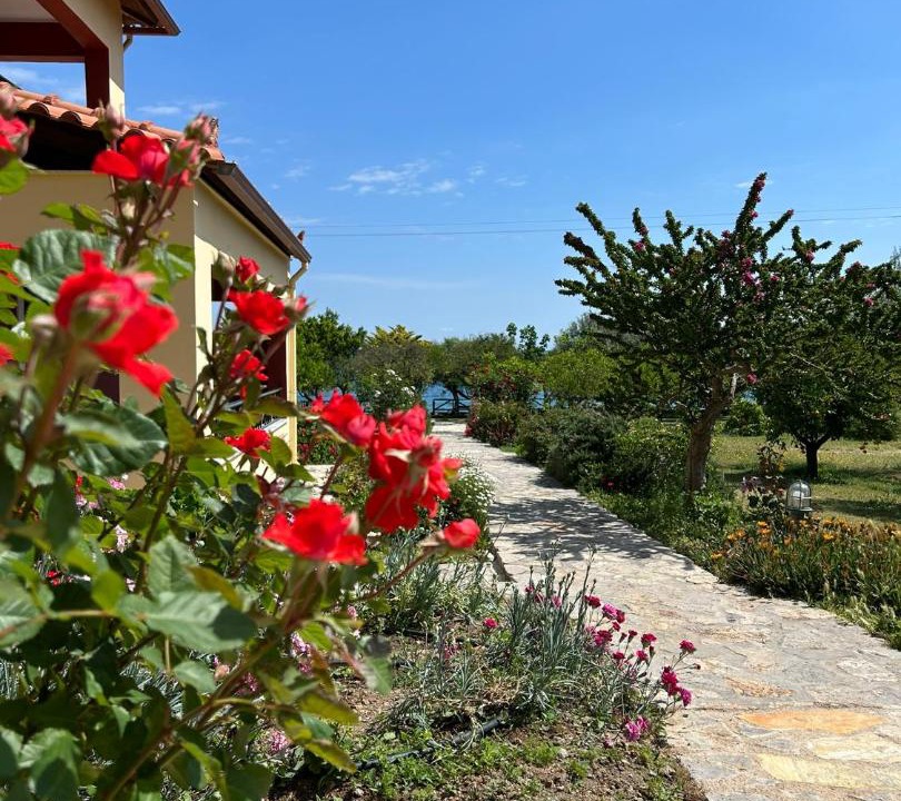 Photo of Others in Melissopetra