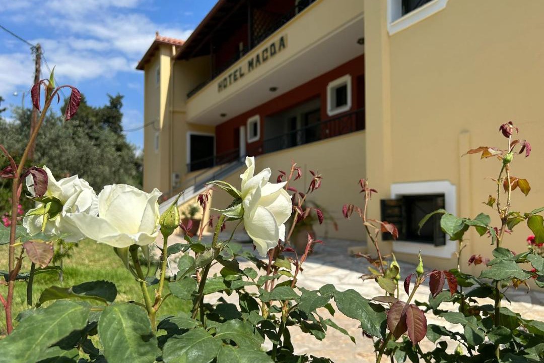 Photo of Others in Melissopetra