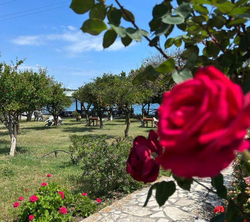 Photo of Others in Melissopetra