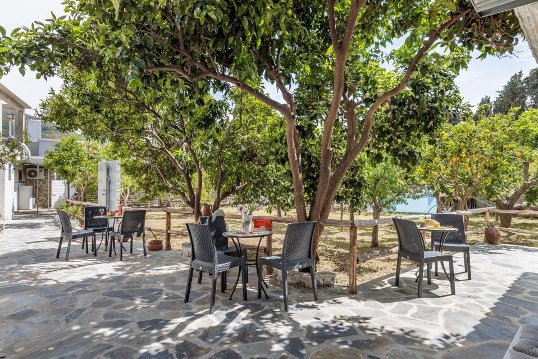 Photo of Others in Skopelos Town